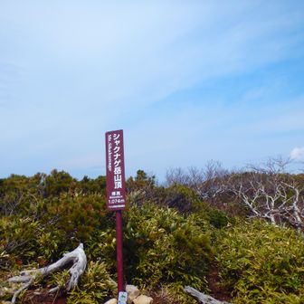 本日２回目🏔🏔