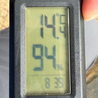気温は14度と歩き易かったです