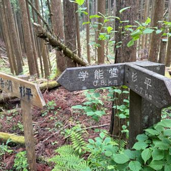 残り0.8kmとなりました