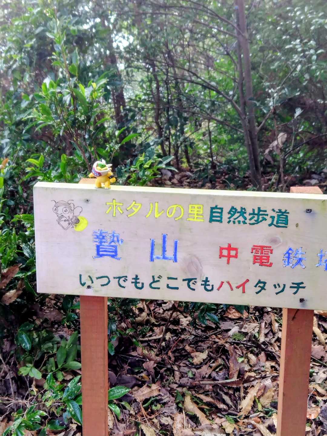 贄山(中電鉄塔)
