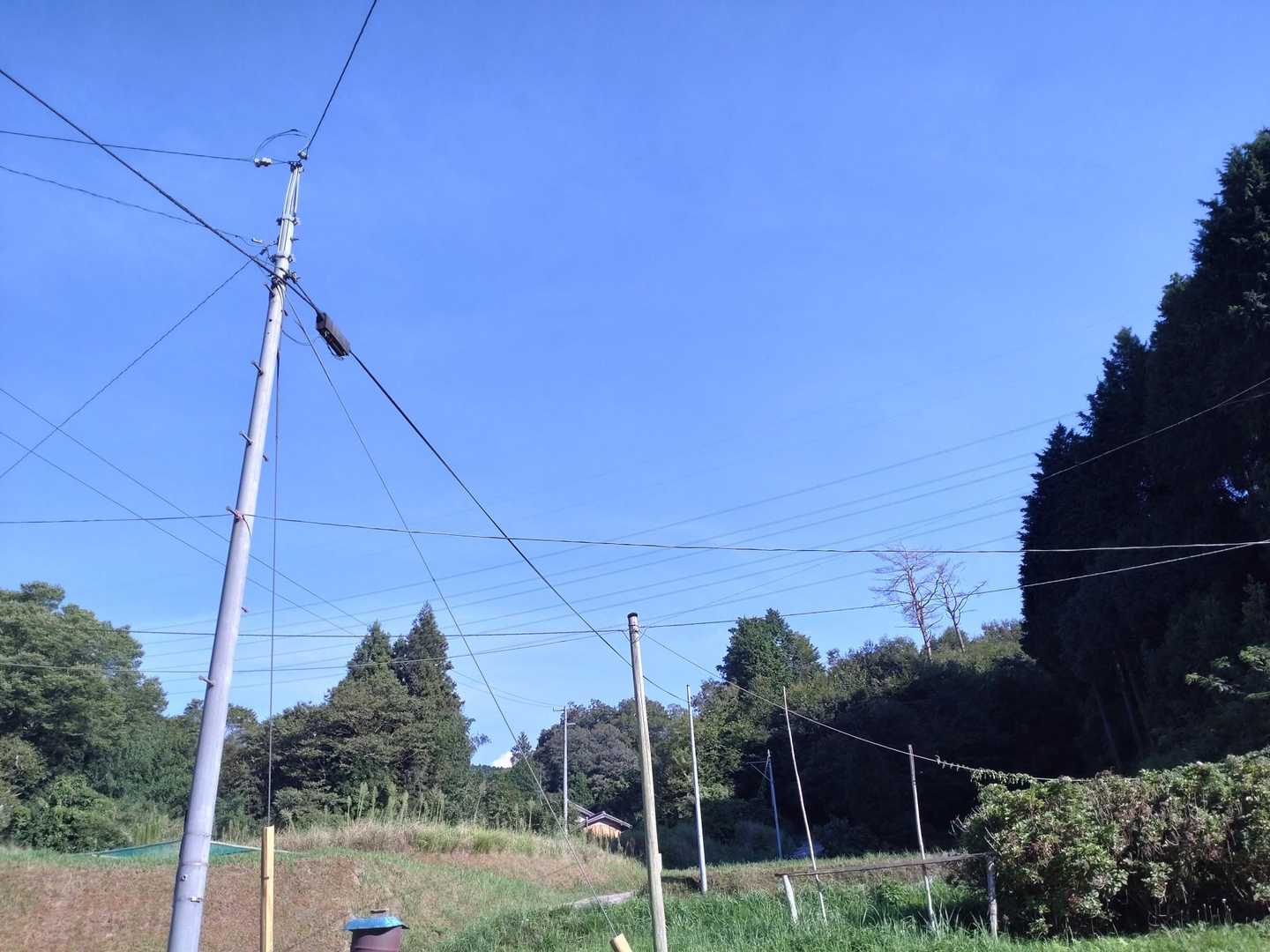 も〜クタクタ