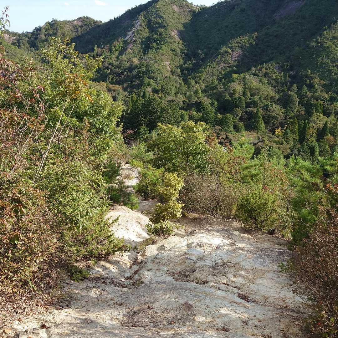 笠松山 周回コースの写真