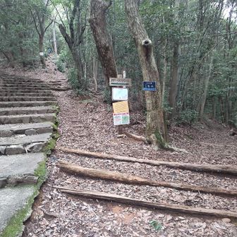 👈️左の七曲りコースは苦手だから
👉️右の唐釜ハイキングコースに行くよ