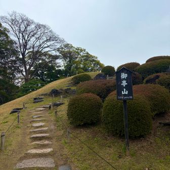 大きな声で読んだら
スミレちゃんが
ゲラゲラ🤣