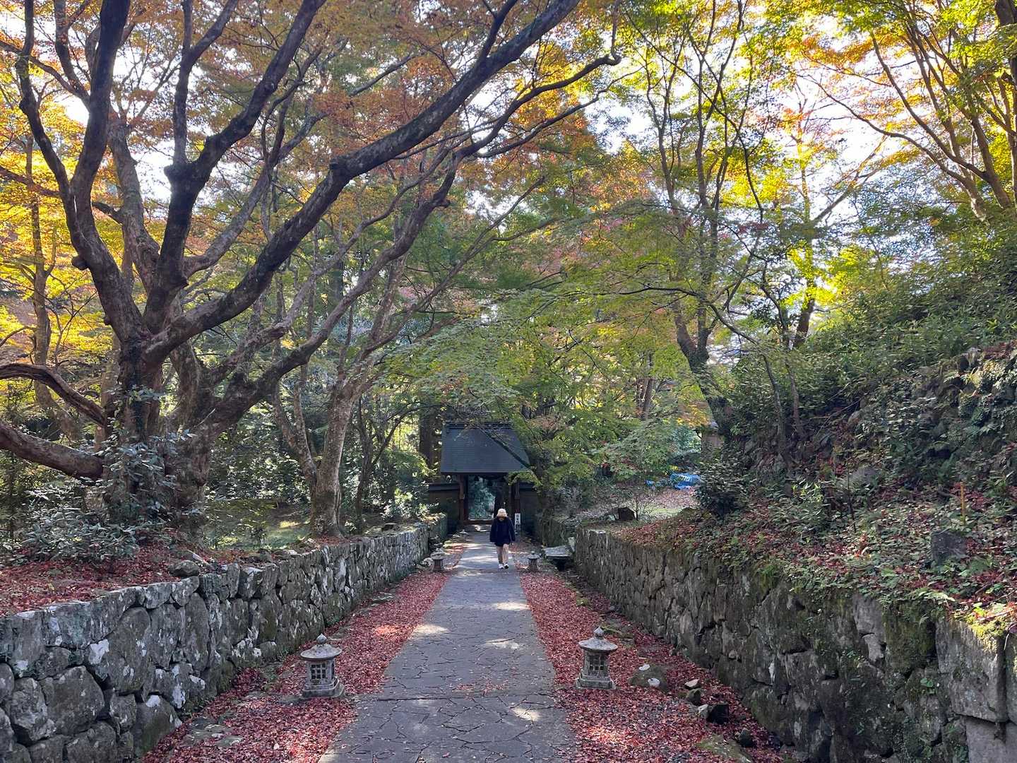 門の近くは紅葉がこれからです🍁