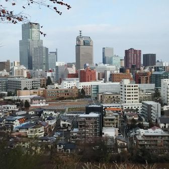 神社天文台から仙台駅方面を臨む。東北で一番高い仙台トラストタワーやらSS30が見えます🤩こりゃカバー画像だよね。
