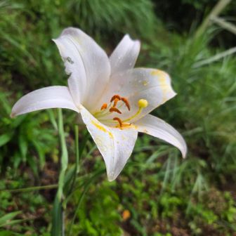 船形山で