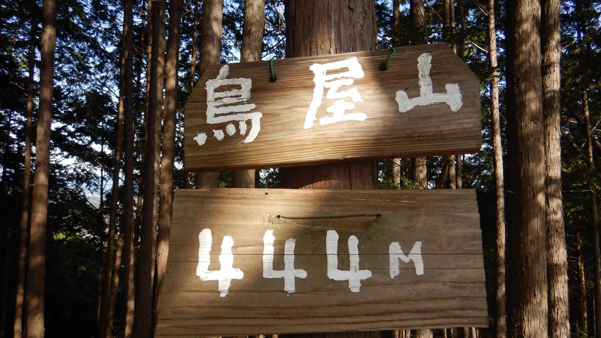 鳥屋山到着⛰️
ここから腰掛岩方面と逆に歩き、牧場山を目指します↗️