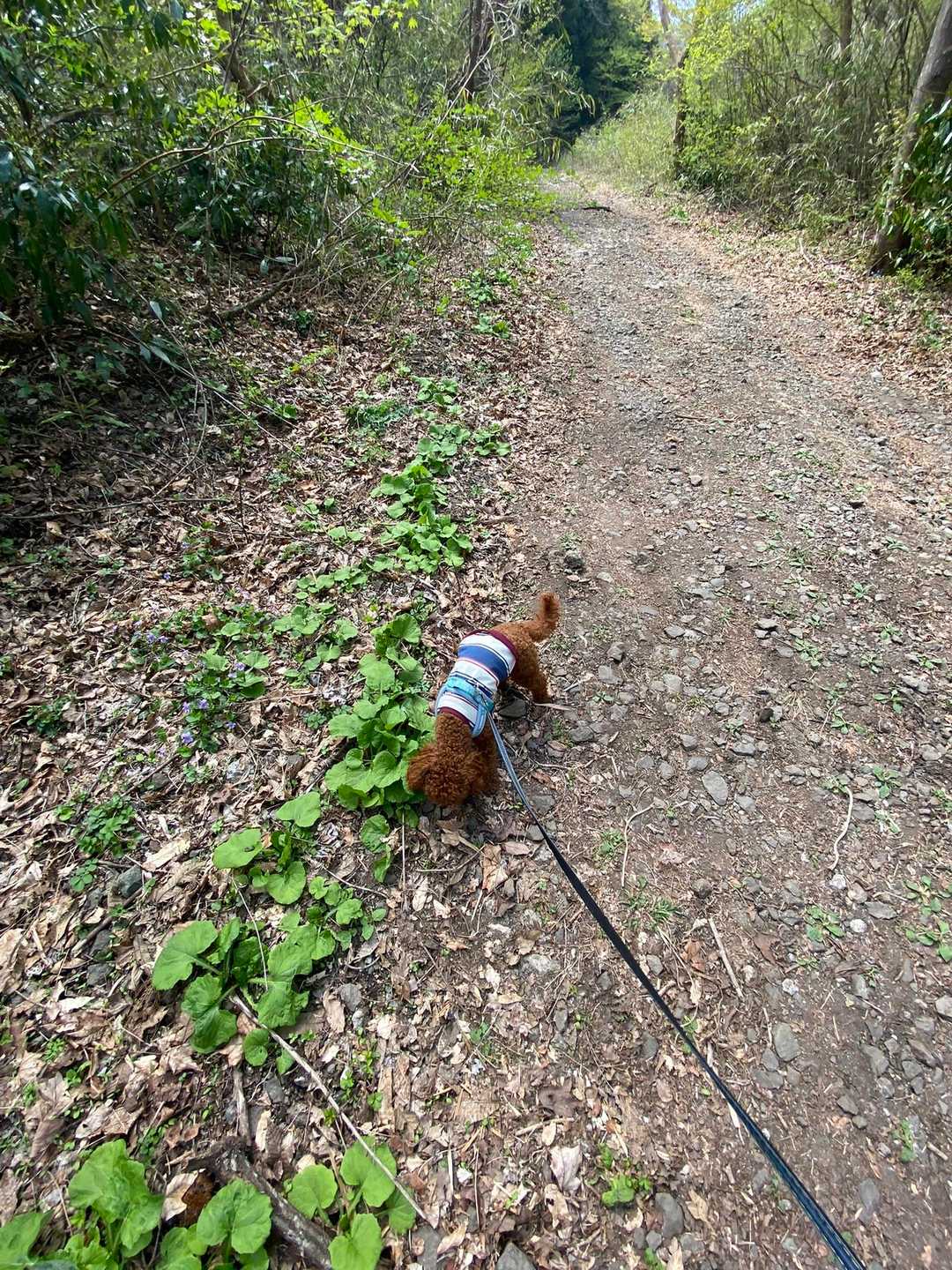 コラッ❗️食うな😠