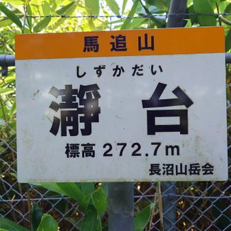 いつものP標識
背後には見たことのないほどの山人が群れている