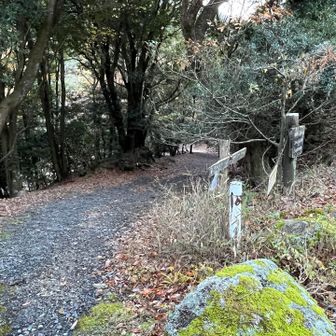 鳥居道に繫がる東海自然歩道の分岐がゴールです。