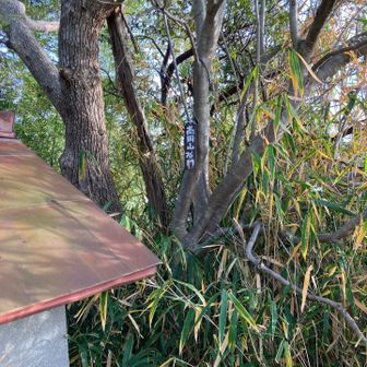 (60)高岡山　60座達成🙌
達成感でいっぱい