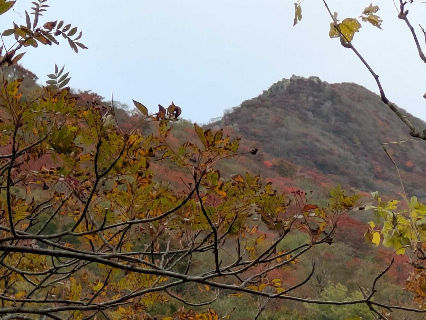 天狗岩を見上げてちょっと感慨😍