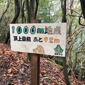 あれ、登山口の標識には900mって書いてあったと思うんだけどな？
あと92mね、頑張る😤