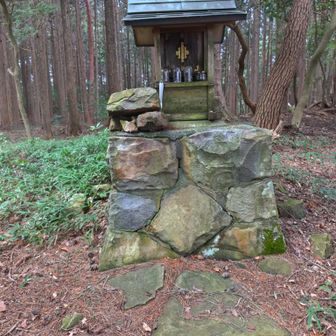 此処は、山頂じゃ無いよ、山頂は反対側に１００ｍ位奥にある。