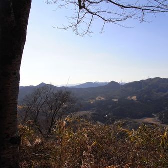 対して富士山は完全に黄砂に阻まれて😢仕方がない‼️