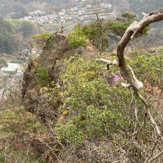 送電鉄塔の巡視路を歩いて古嶽山へ

分岐の手前に左へ伸びるトラバース道があり、分岐を巻いて古嶽山へ向かえます

あの先っちょがYAMAPの山頂マーク