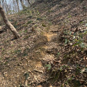 八森山取り付き