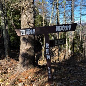 数馬峠
前回三頭山からここまで歩いたので
今日はこの続きを歩きます