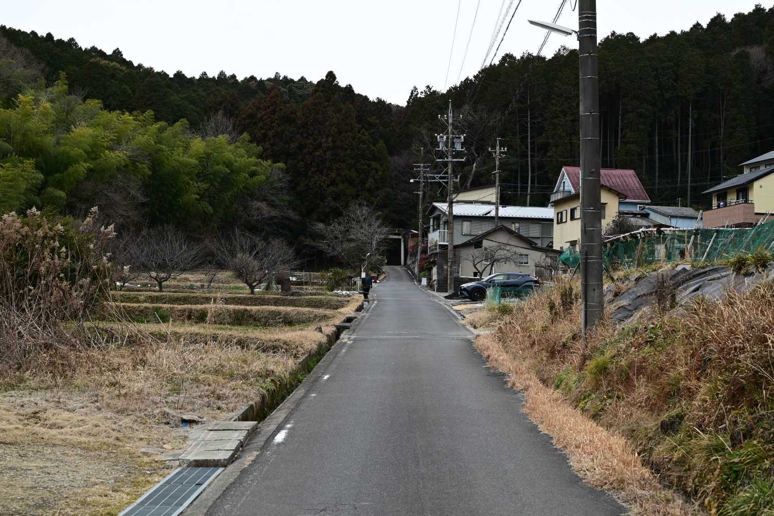 南参道登山口-東谷山-尾張戸神社 鳥居 周回コースの写真