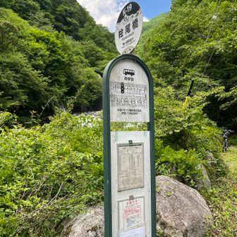 これに乗ればー