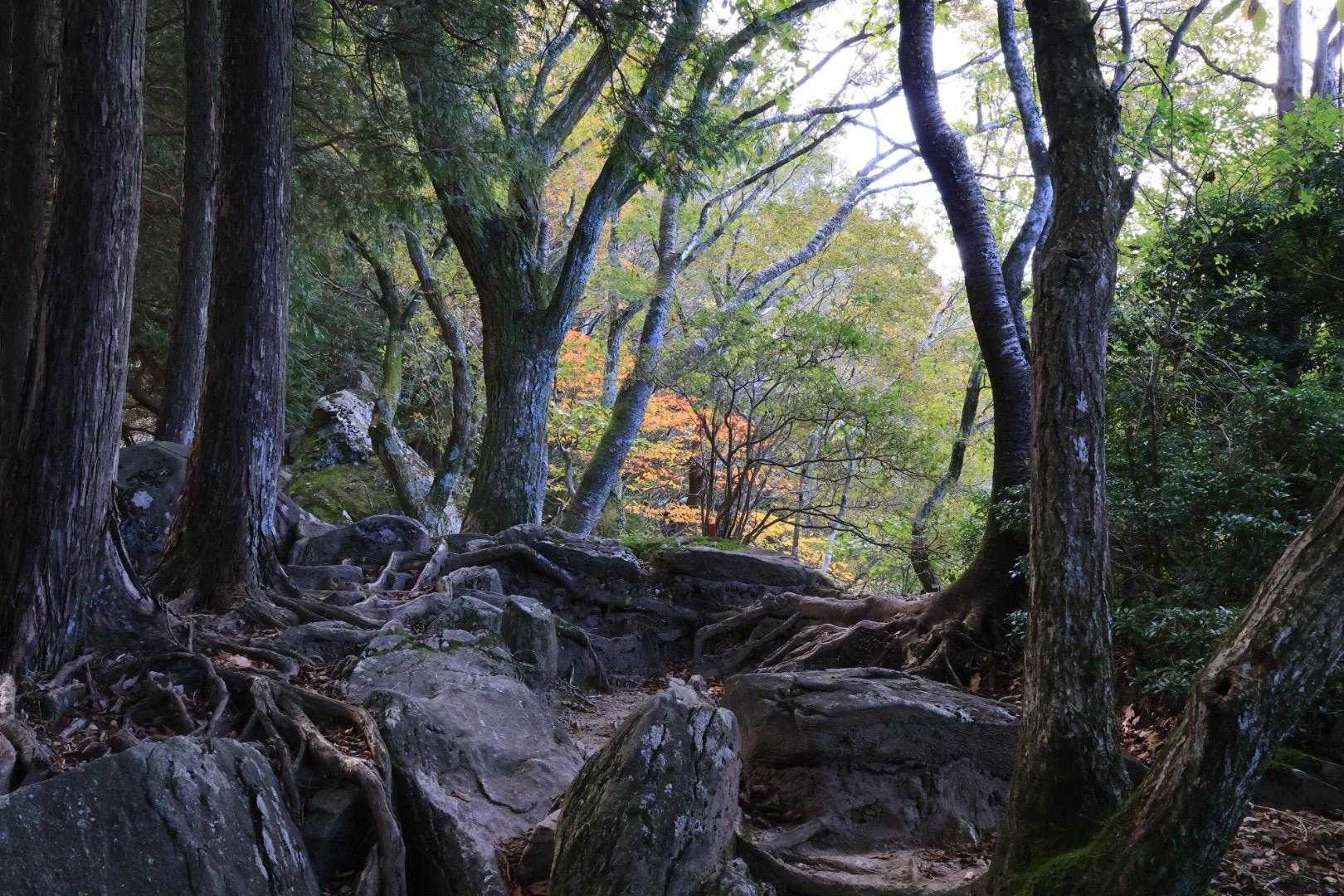 ずん