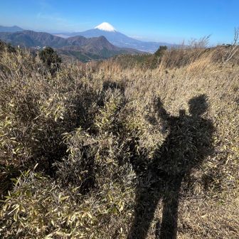 富士山とツーショット。