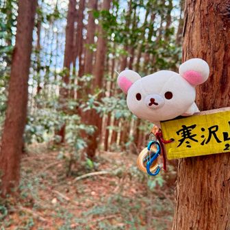 とうとう蜘蛛の巣🕸️とメマトイの時期になったか🦟