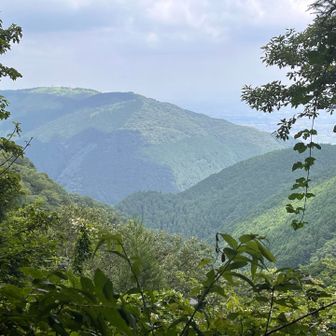 カヤンボルート抜けたら
葛城山見えた😲
影富士ならぬ影金剛山😆