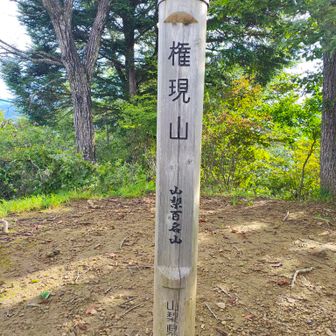 権現山（1312m）
山梨百名山
山頂は広くない
ベンチがあると嬉しいんだけどナ…