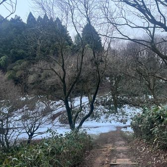 栃の木広場は雪が多い