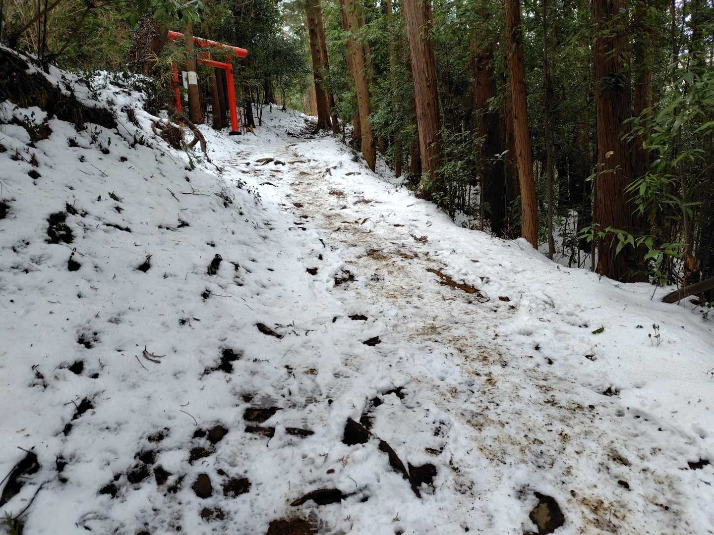 所々に積雪がありますが、ツボ足で大丈夫