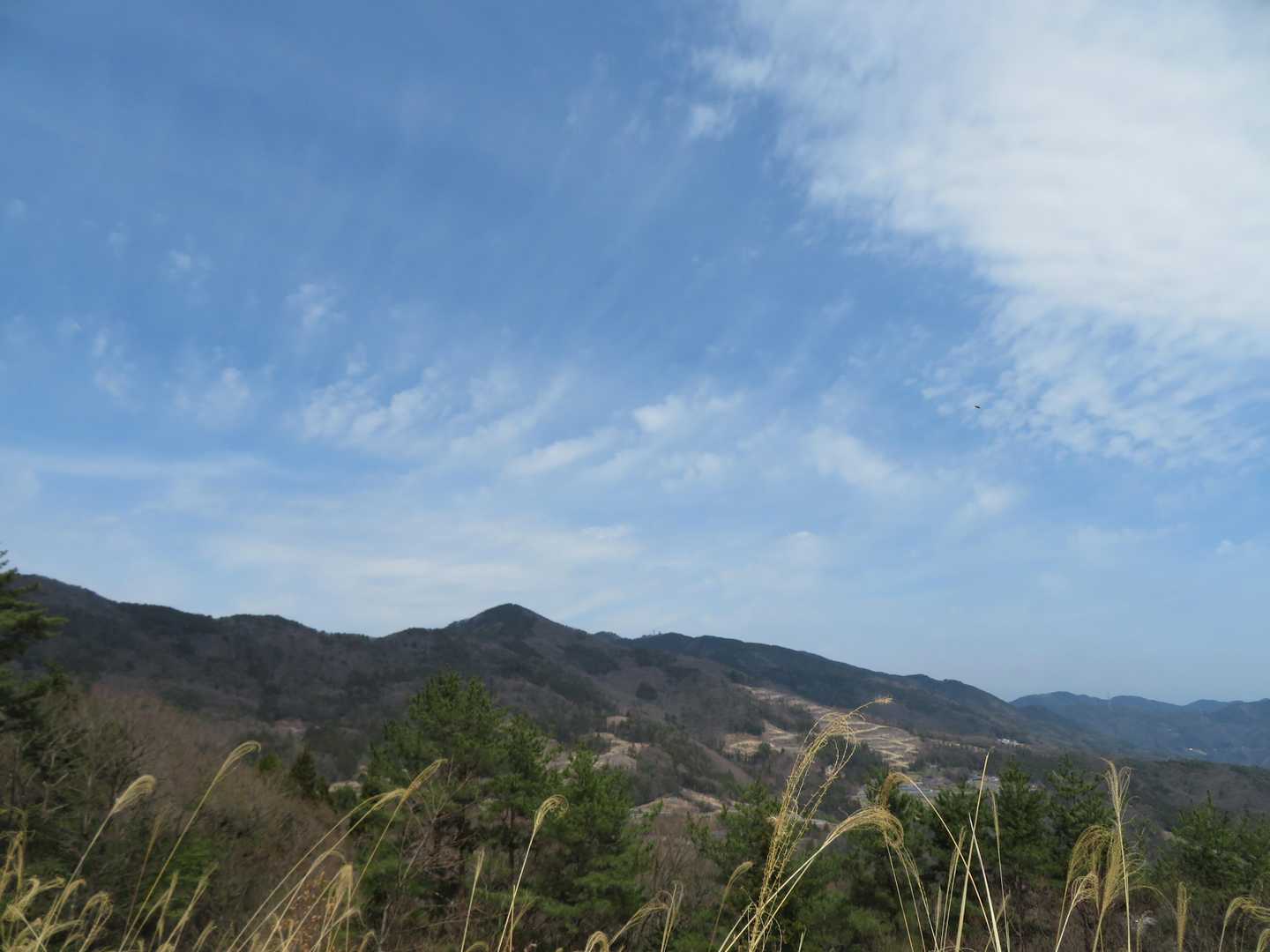道路に出たところで、竜王山方向。