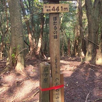 京ヶ峰
本日終点、17座目。
麓の神社にエスケープするよ。