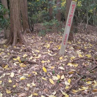 地滑り防止区域