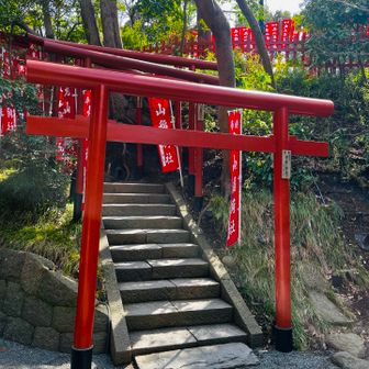 鶴岡八幡宮裏から入るよ⛩️