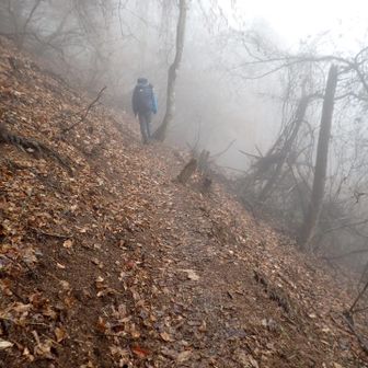 昼食後歩き始めます。