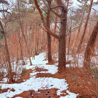 降りな階段が見え隠れしてます
