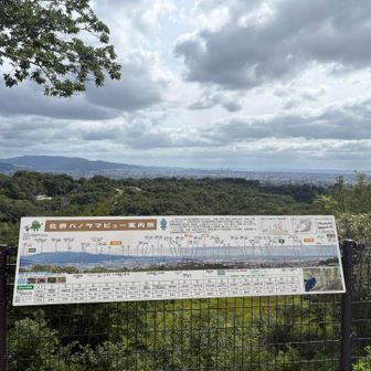 もう一つあるパノラマビューポイント