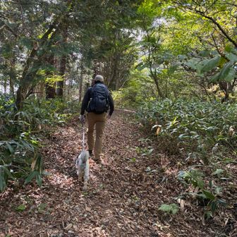 そして次の山へ