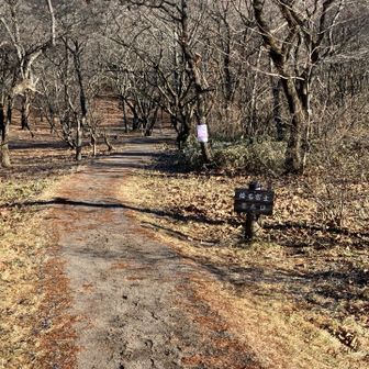 榛名富士は、ロープウェイ🚡もありますが、当然歩きます。