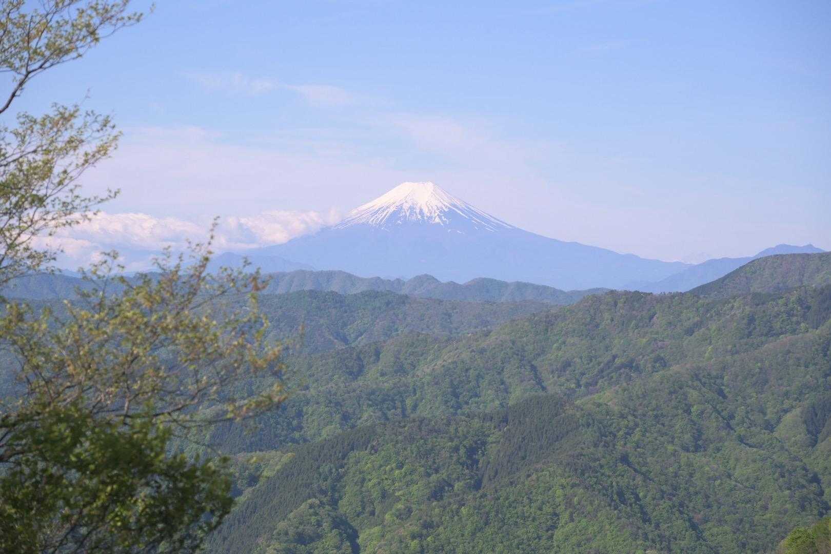 水窪山-小河内峠-惣岳山-御前山 往復コースの写真