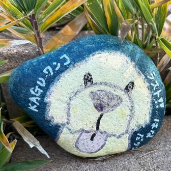 ありがとう😊KAGUワンコ！
いっぱい励ましてもらったよ🥹
