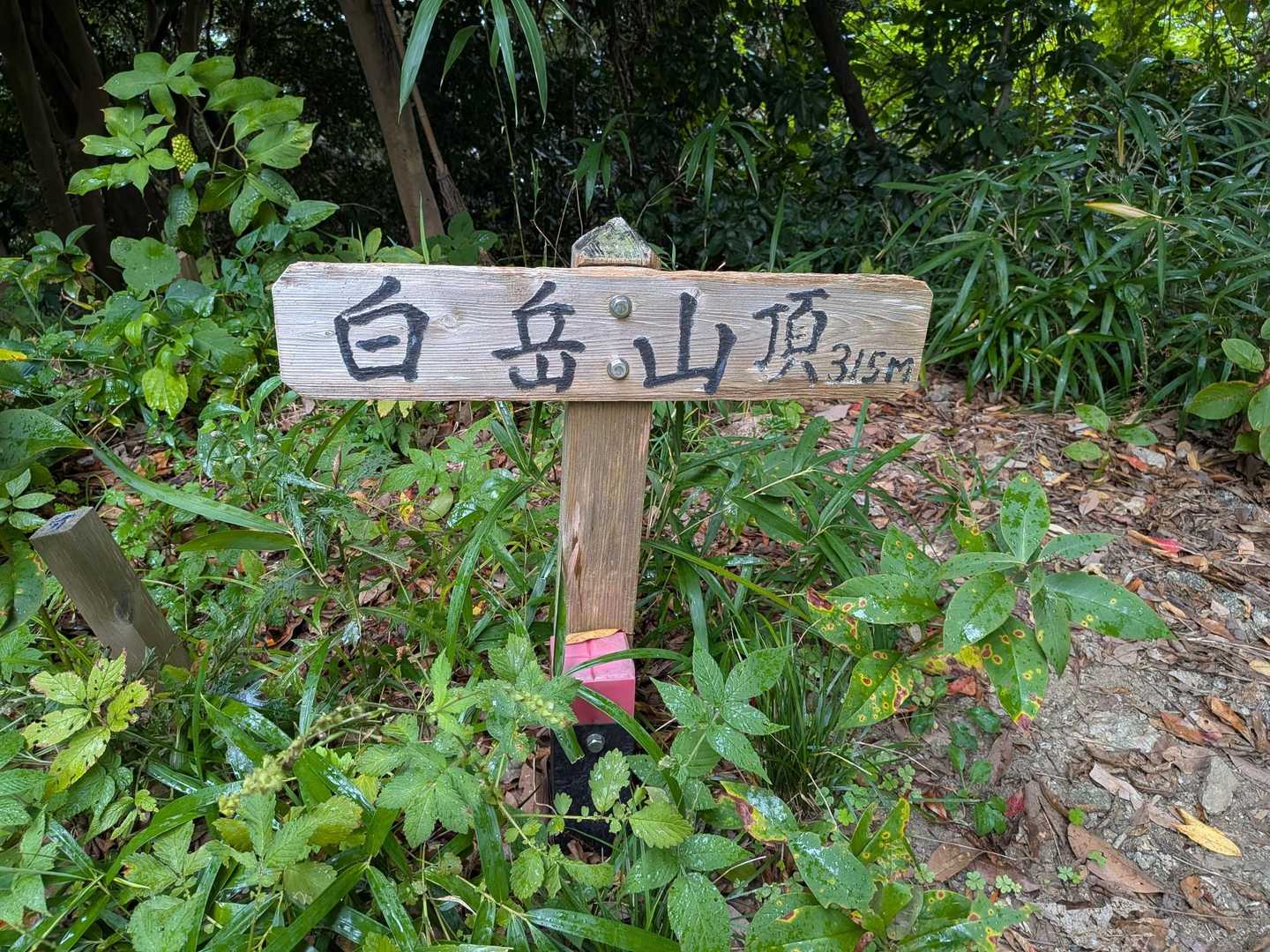 そして、白岳にとうちゃく！
