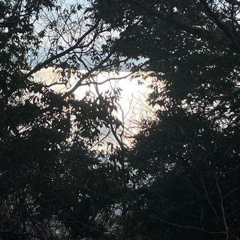 琵琶湖が輝いてる✨