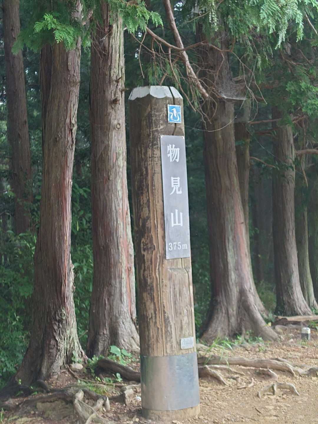 日和田山登山口-金刀比羅神社-日和田山-物見山 往復コースの写真