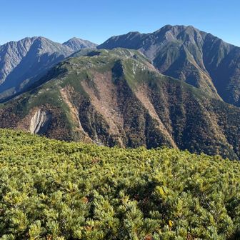赤石の後ろから荒川岳見えだし