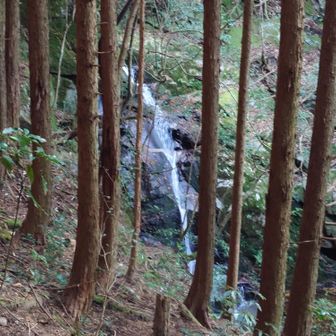 滝がありました。道明の滝？