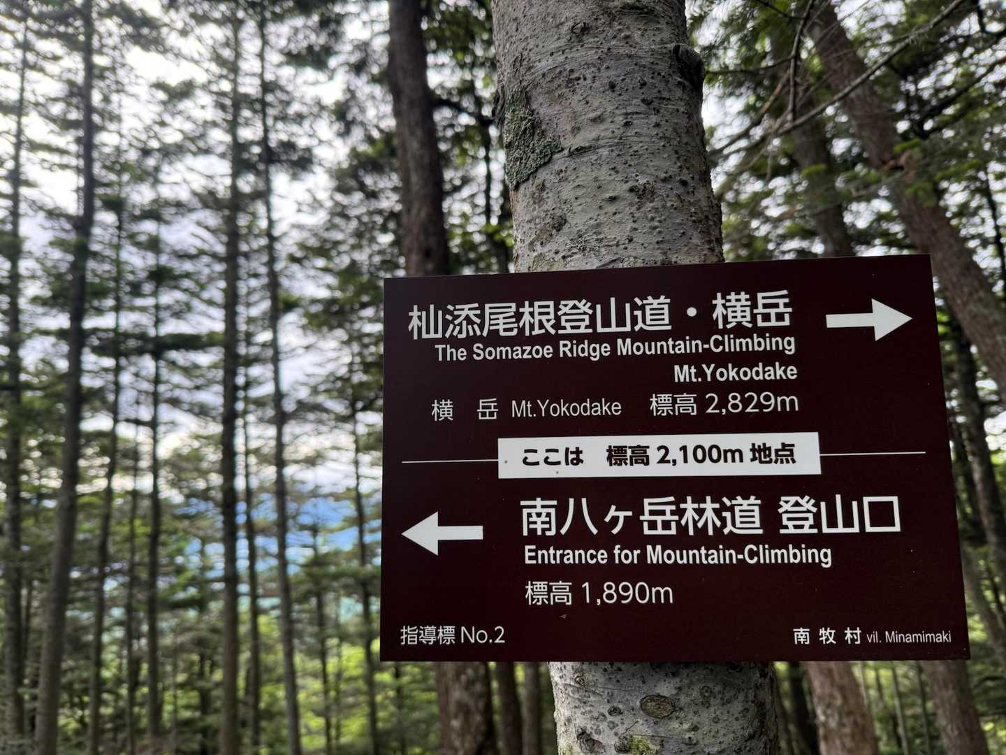 先長いね～、千葉では考えられない数字。