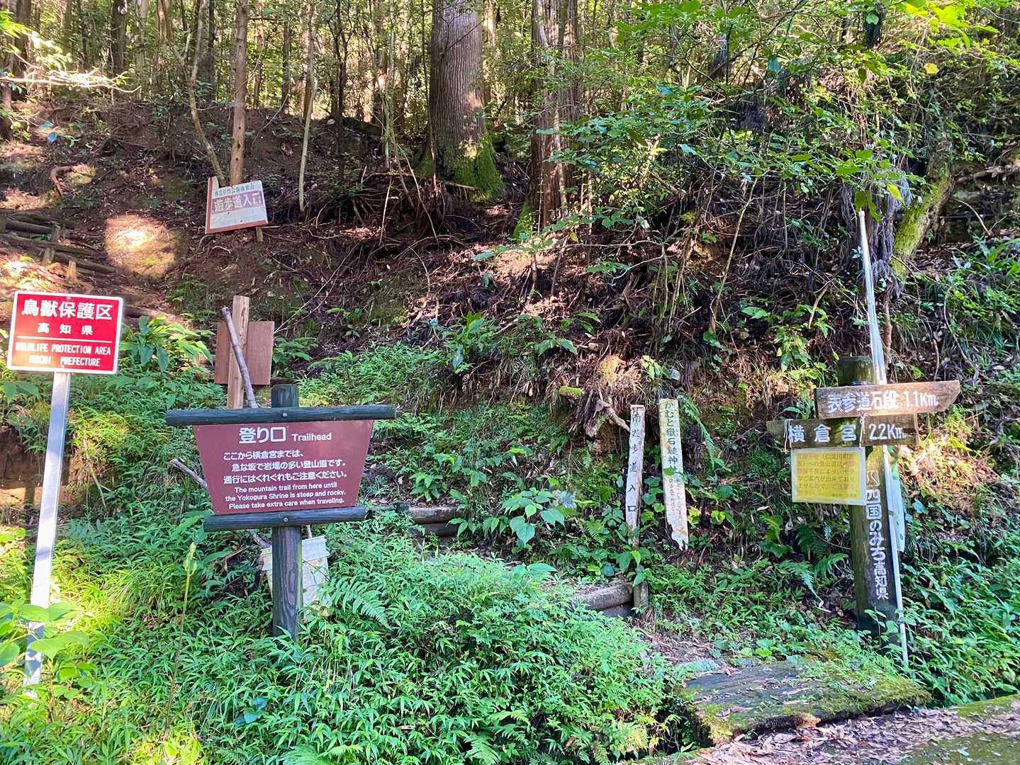 登山口
序盤は階段続き💦